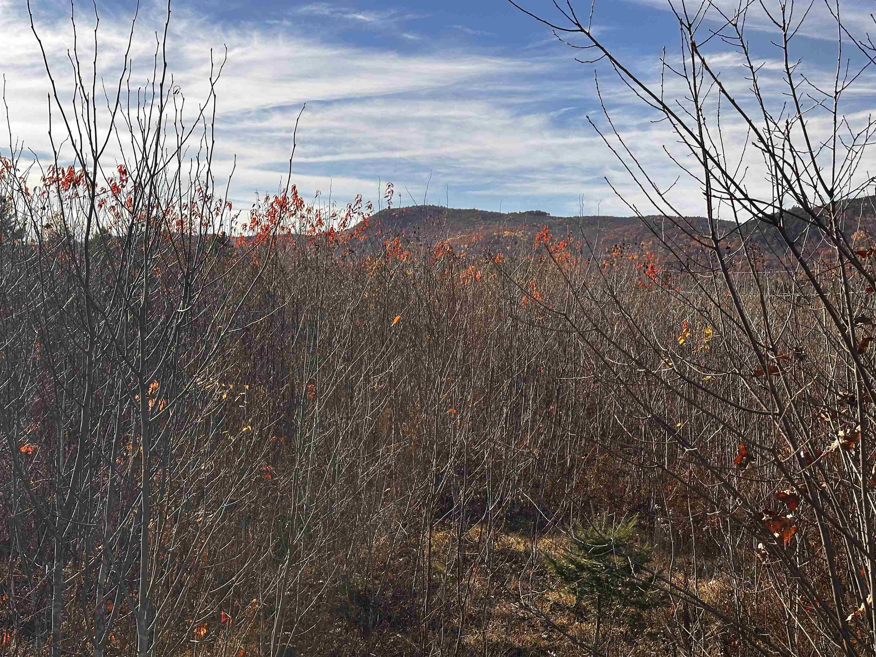 Tbd Mcintyre Road, Unit 7 Dalton, NH 03598 - Photo 8 of 19