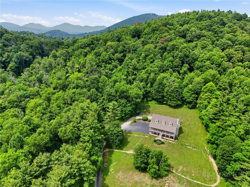 245 Papa Cook Road Boone, NC 28607 - Photo 19 of 48