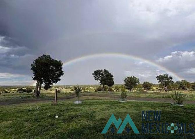 32 Hickey Road Pie Town, NM 87827 - Photo 2 of 39 View of property's community with a view of rural / pastoral area