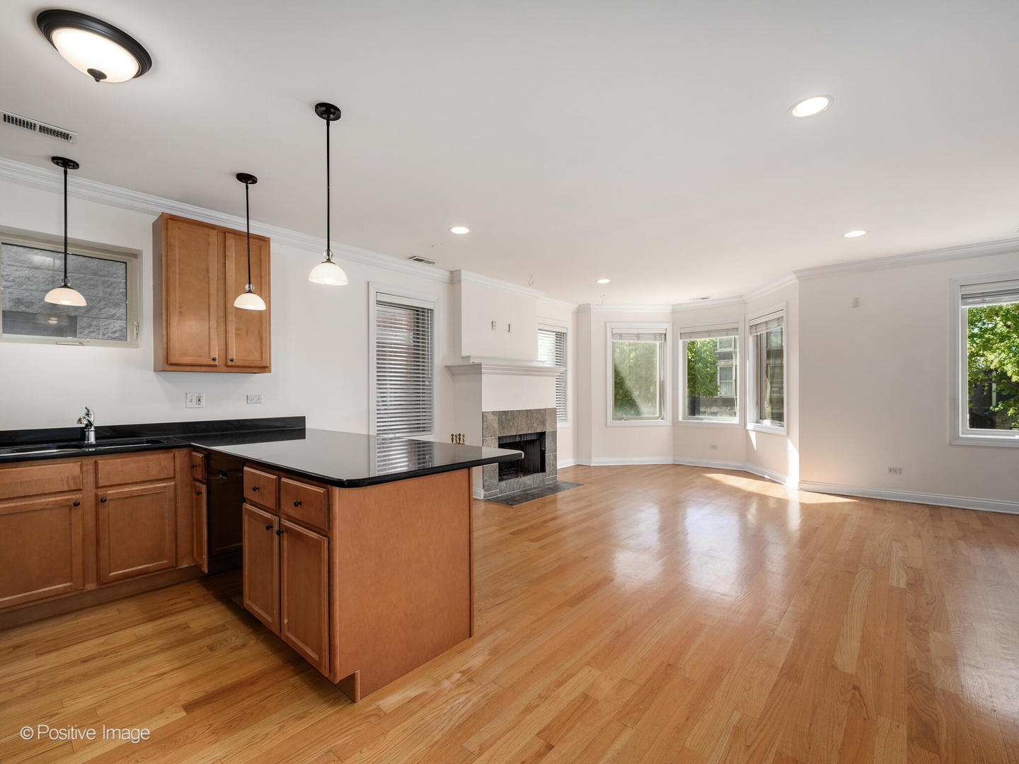 1533 North Campbell Avenue, Unit 2 Chicago, IL 60622 - Photo 3 of 14 a kitchen with stainless steel appliances granite countertop a sink a stove and a wooden floor