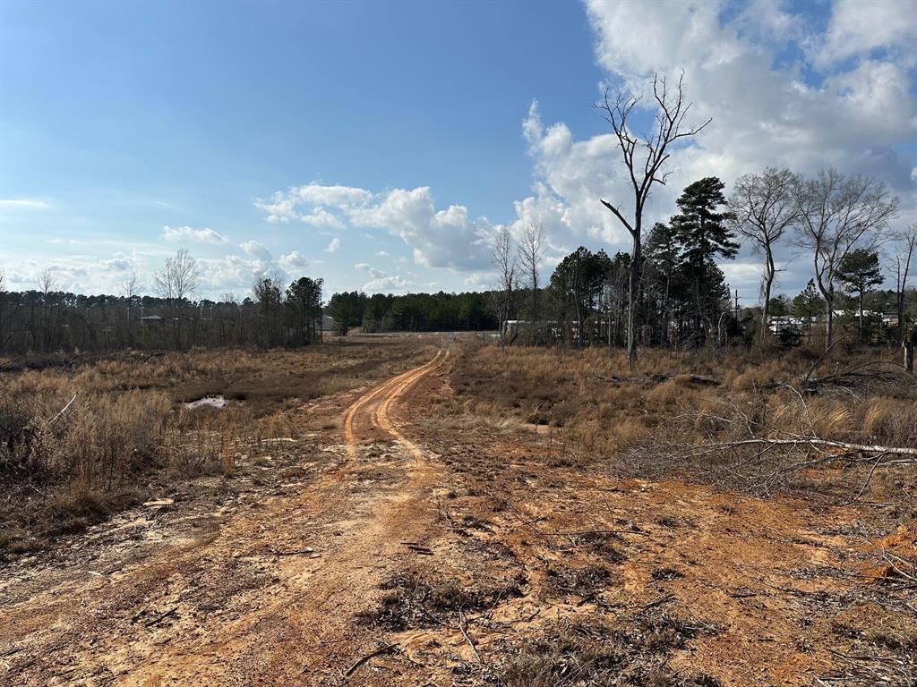 102 Ryan's Way Minden, LA 71055 - Photo 5 of 11 a view of a dry yard with wooden fence