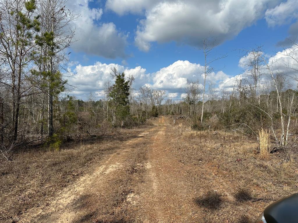 102 Ryan's Way Minden, LA 71055 - Photo 6 of 11 a view of a yard