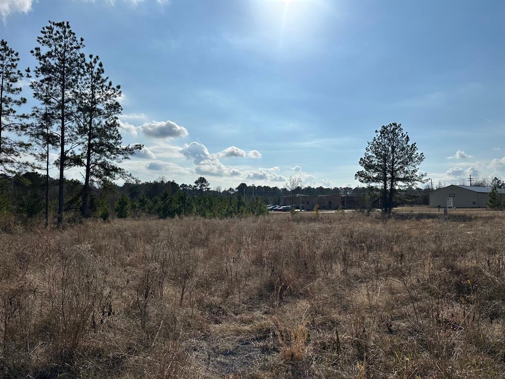 102 Ryan's Way Minden, LA 71055 - Photo 8 of 11 a view of a field and trees