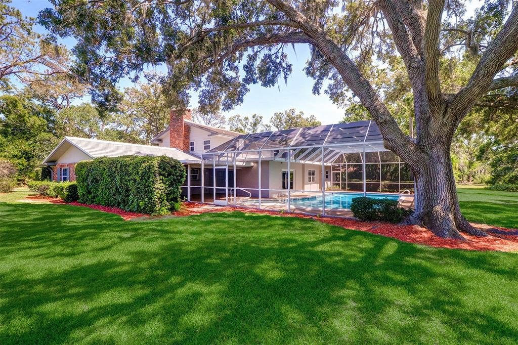 1670 Fox Road Clearwater, FL 33764 - Photo 10 of 55