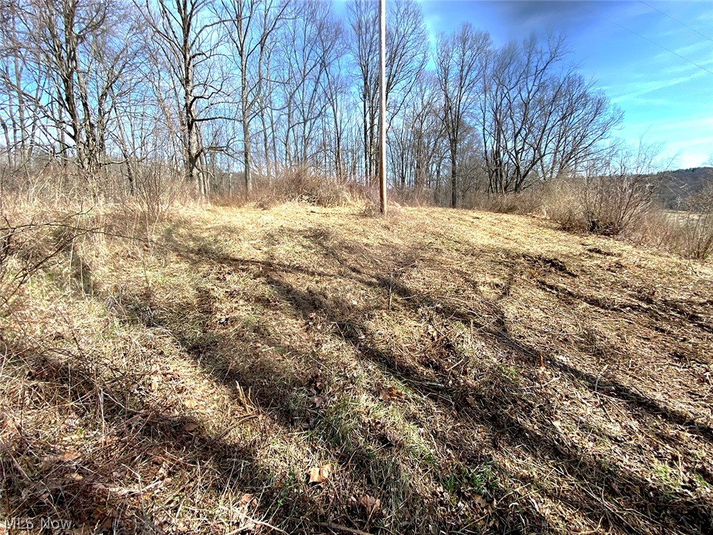 0 Township Road Coshocton, OH 43812 - Photo 19 of 24