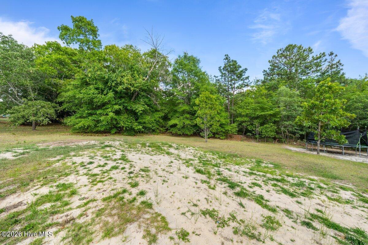 229 Ellerbe Grove Church Road Rockingham, NC 28379 - Photo 28 of 29 DSC01884
