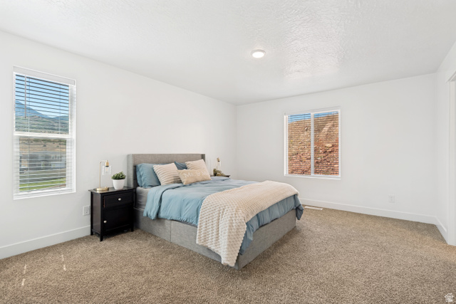 1988 South Marigold Way Santaquin, UT 84655 - Photo 15 of 47 Primary Bedroom