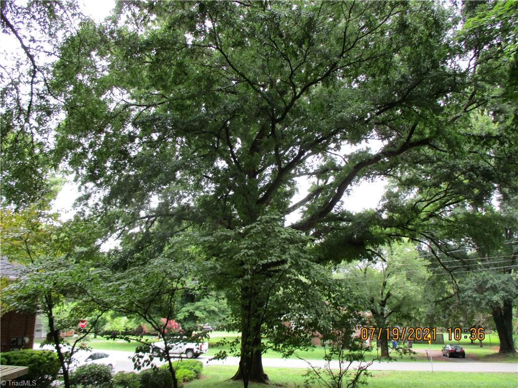 2040 Independence Road Winston-Salem, NC 27106 - Photo 22 of 30 fabulous shade.
