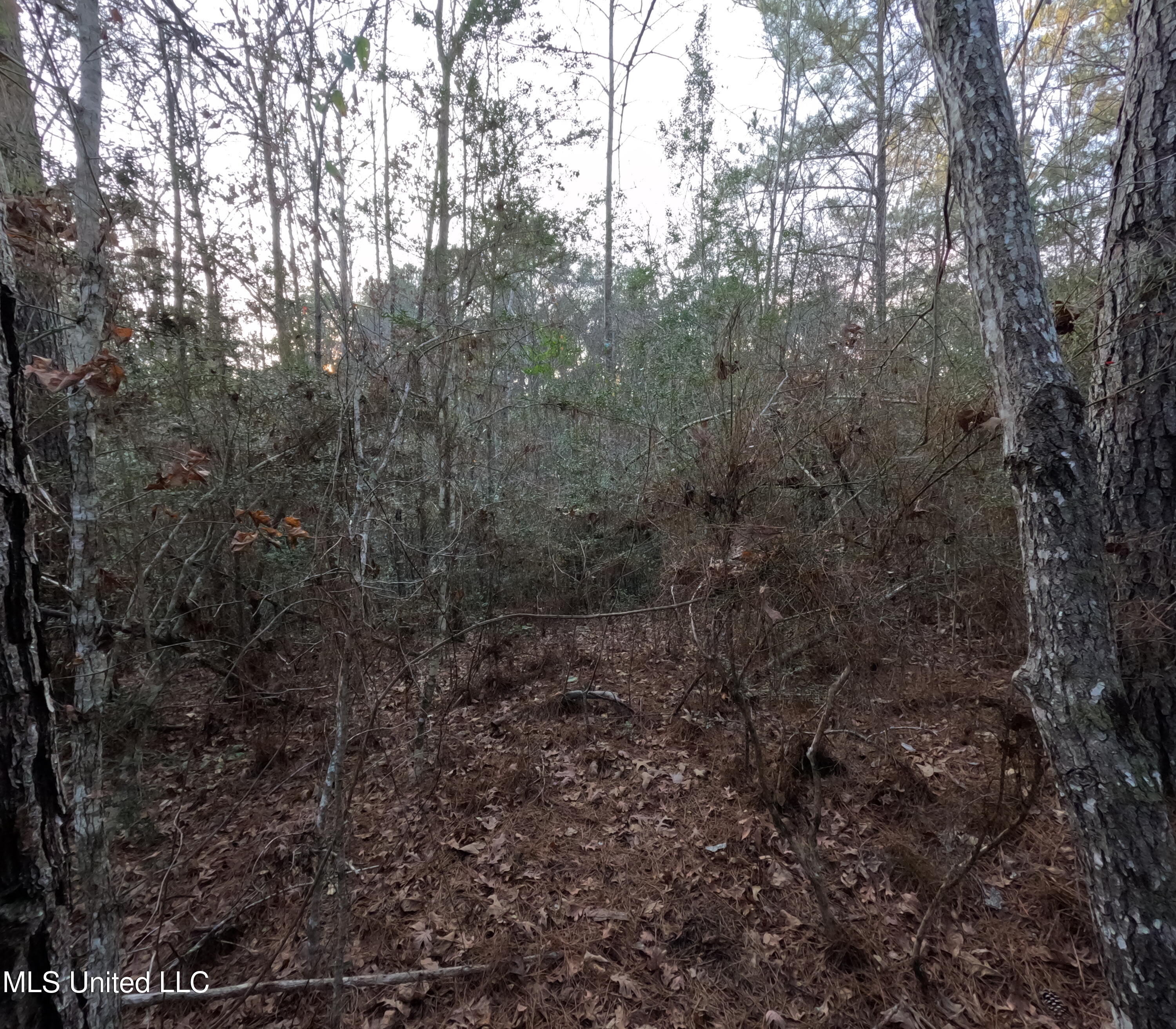 South County Line Road Columbia, MS 39429 - Photo 34 of 44 GOPR0758
