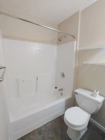 a bathroom with a toilet and a bathtub