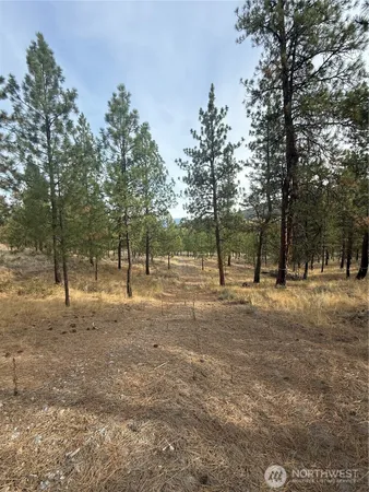 $80,000 | 67 West Bannon Creek Road, Tonasket, WA 98855