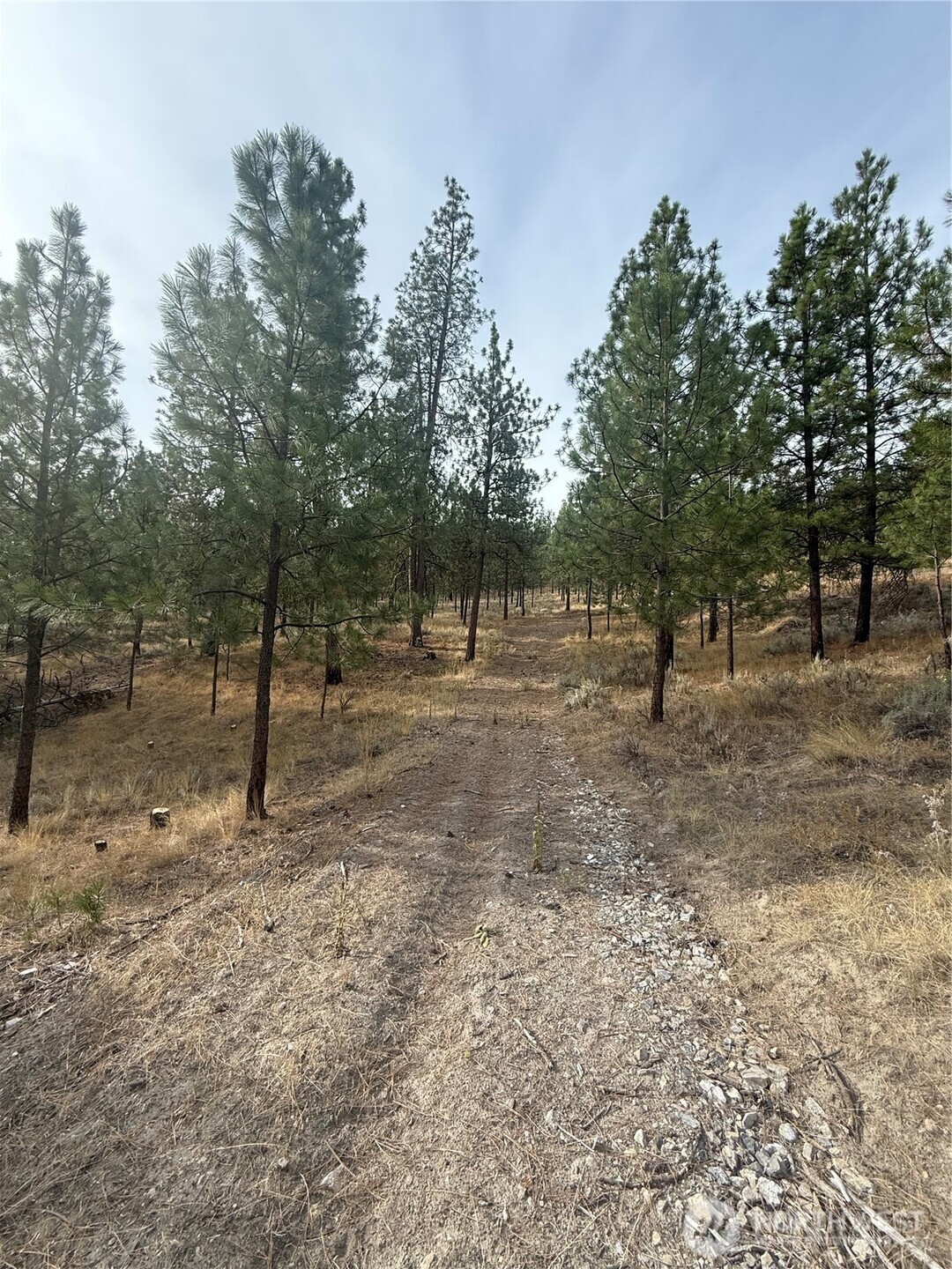 67 West Bannon Creek Road Tonasket, WA 98855 - Photo 11 of 12 a view of outdoor space with trees