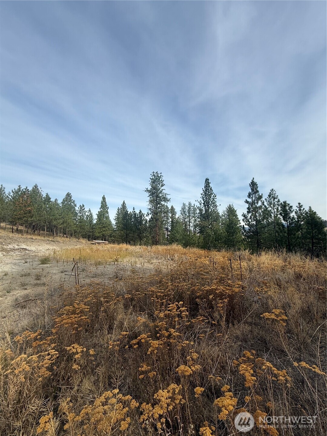67 West Bannon Creek Road Tonasket, WA 98855 - Photo 4 of 12 a view of lake with green space