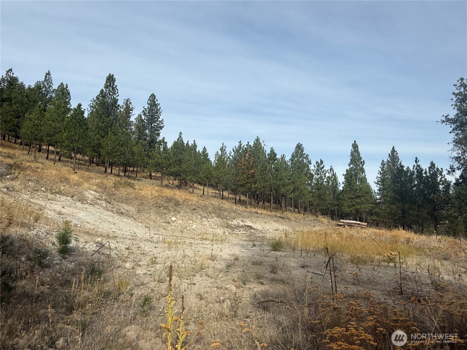 67 West Bannon Creek Road Tonasket, WA 98855 - Photo 5 of 12 a view of a yard with a tree in the background
