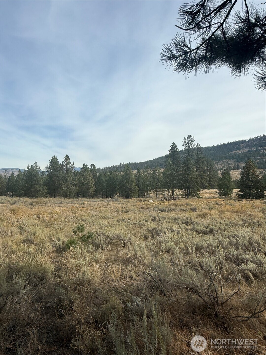 67 West Bannon Creek Road Tonasket, WA 98855 - Photo 6 of 12 a view of lake with mountain