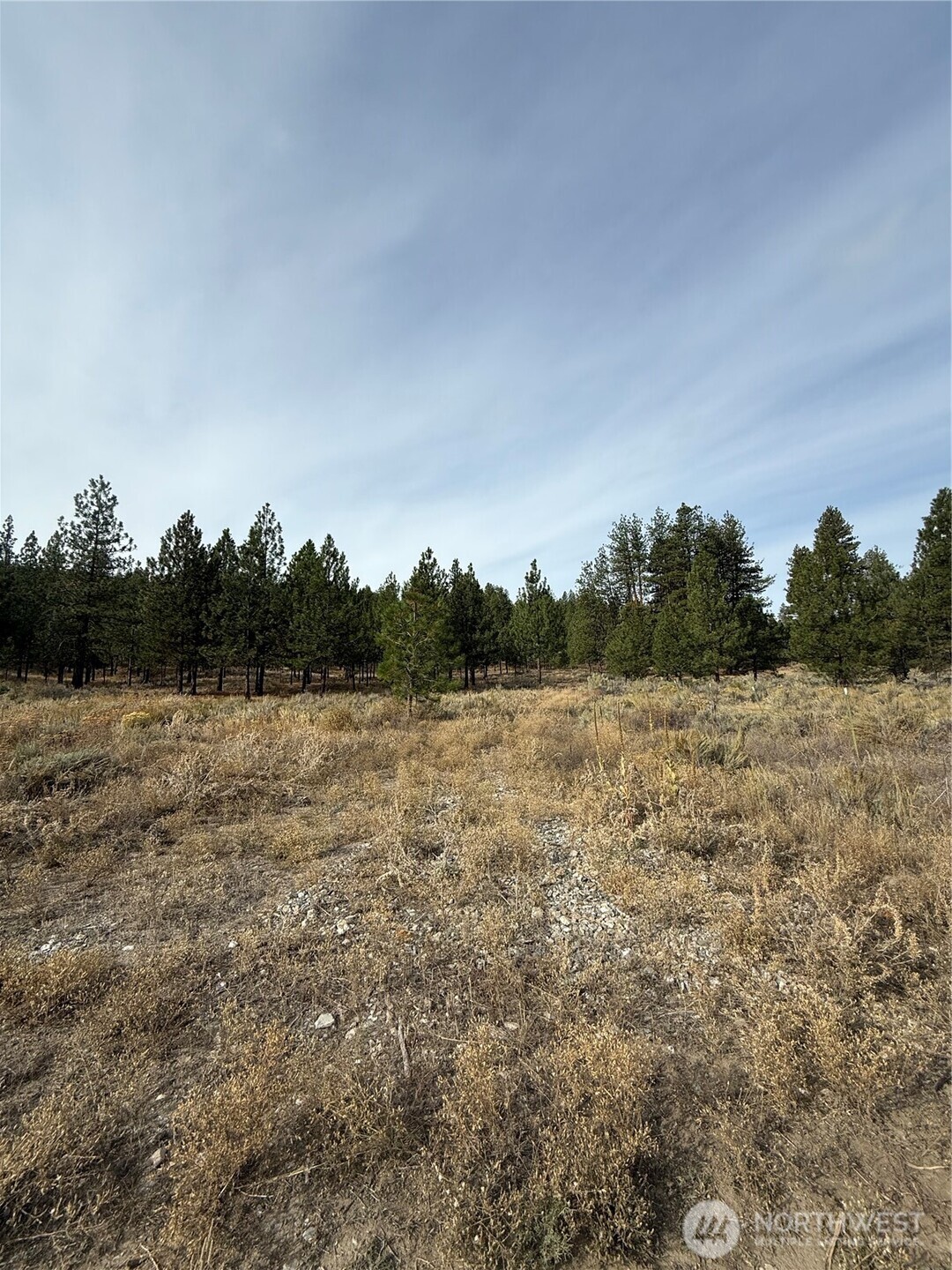 67 West Bannon Creek Road Tonasket, WA 98855 - Photo 7 of 12 a view of a field with trees in background