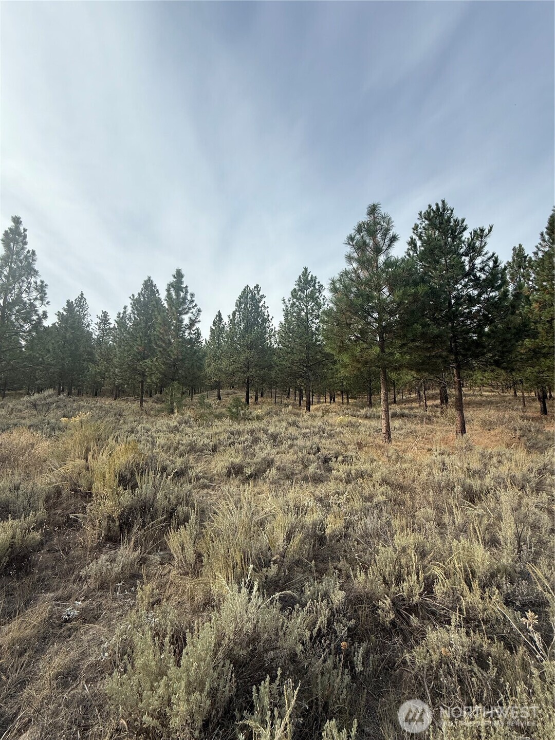 67 West Bannon Creek Road Tonasket, WA 98855 - Photo 10 of 12 a view of backyard with green space
