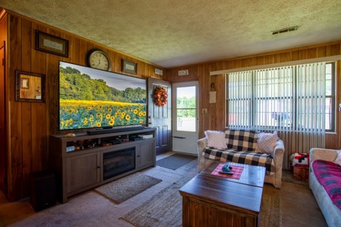 231233 Rivers Edge Lane Sevierville, TN 37862 - Photo 4 of 39
