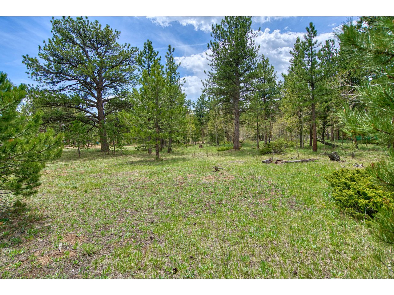 0 Sparn Way Ward, CO 80481 - Photo 11 of 11