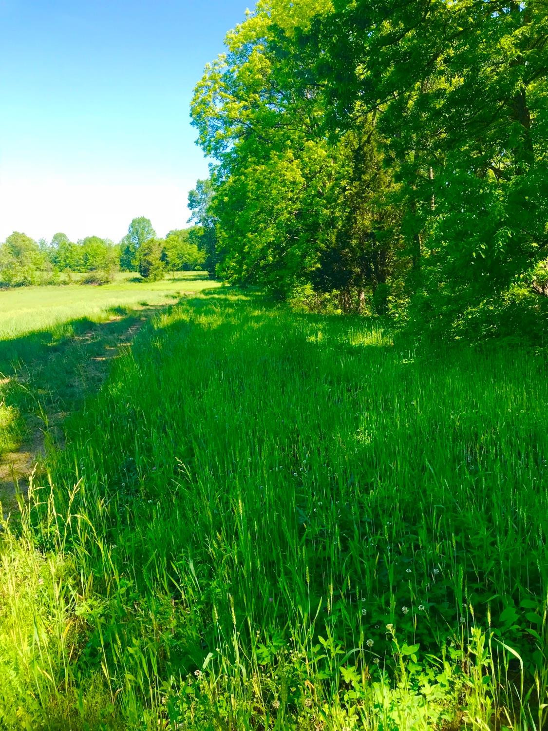1 Pea Ridge Road Wallingford, KY 41093 - Photo 4 of 15 Photo 4
