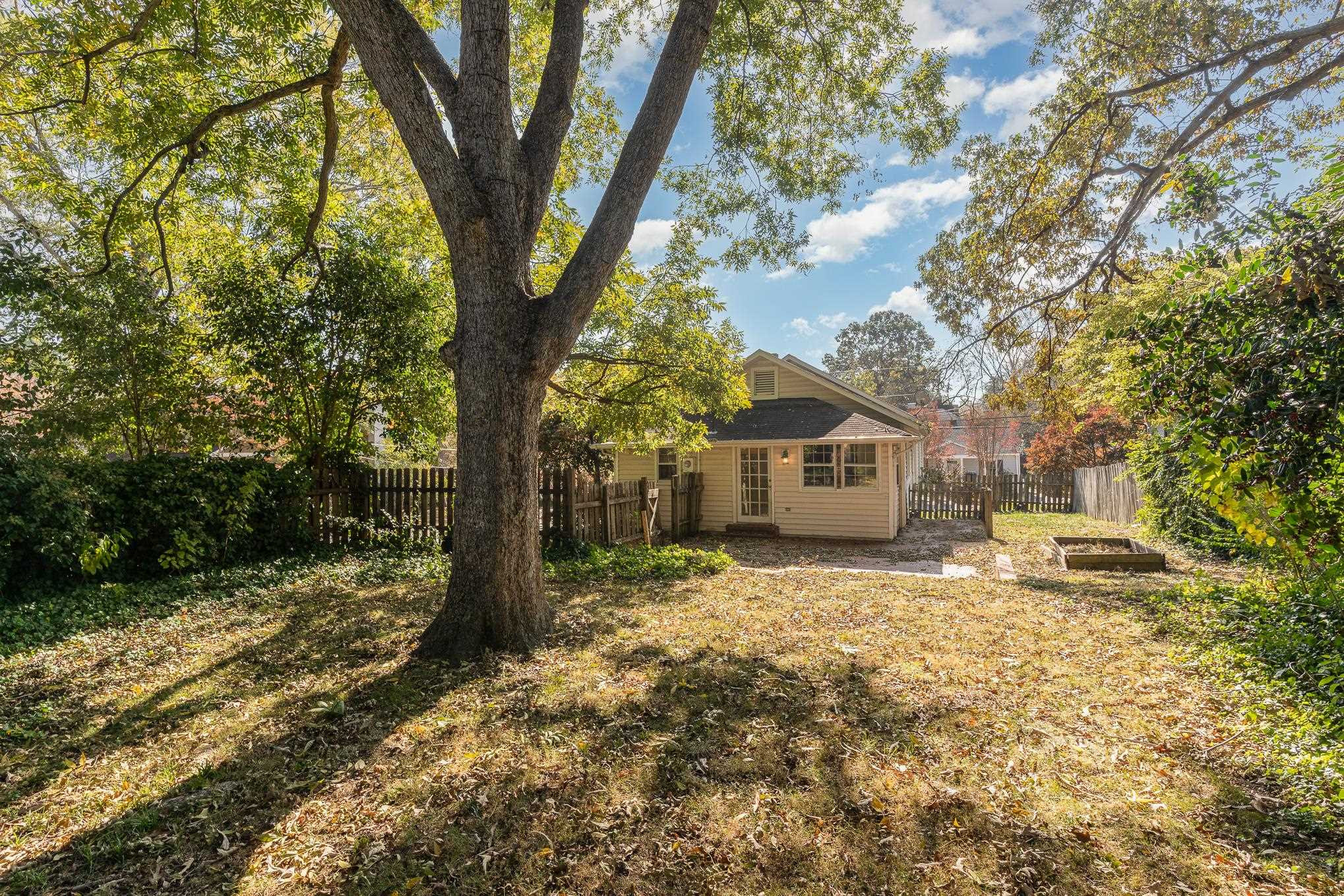 519 Holden Street Raleigh, NC 27604 - Photo 20 of 23 a view of a house with a large tree and a yard