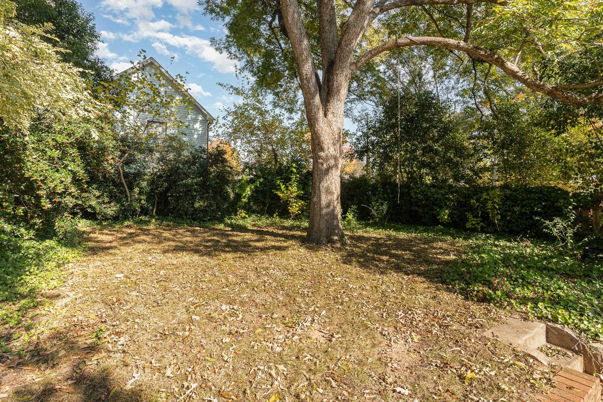 519 Holden Street Raleigh, NC 27604 - Photo 22 of 23 a view of a yard with plants and trees