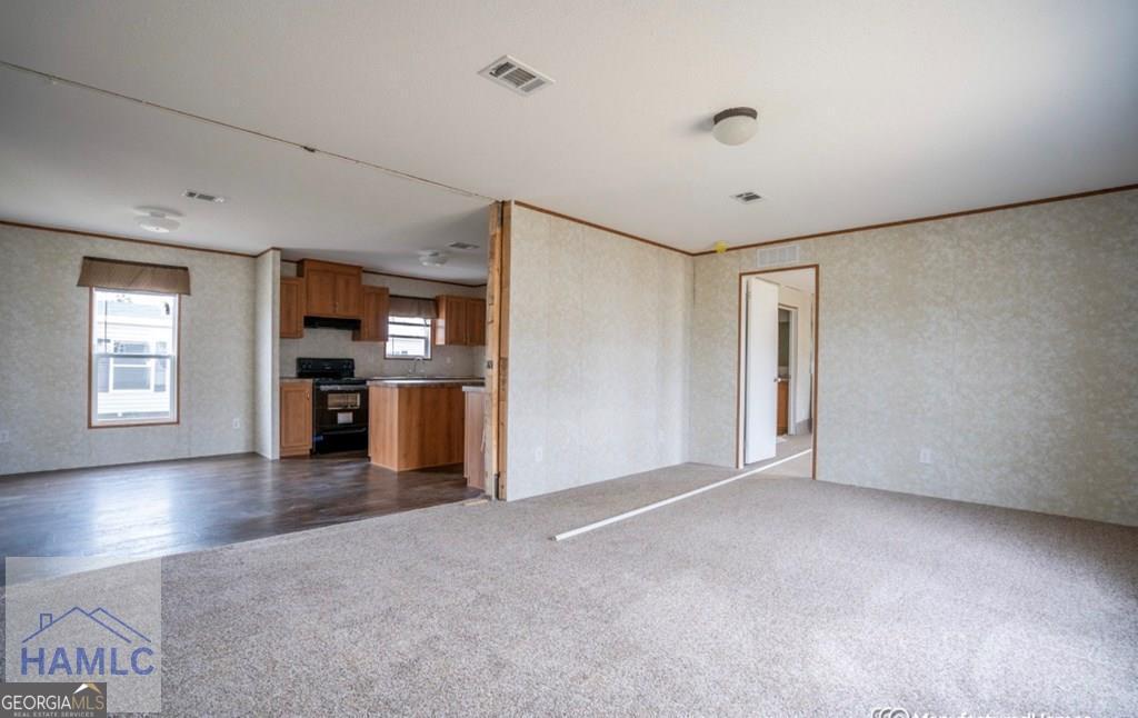 Tbd David Lane Allenhurst, GA 31301 - Photo 3 of 7