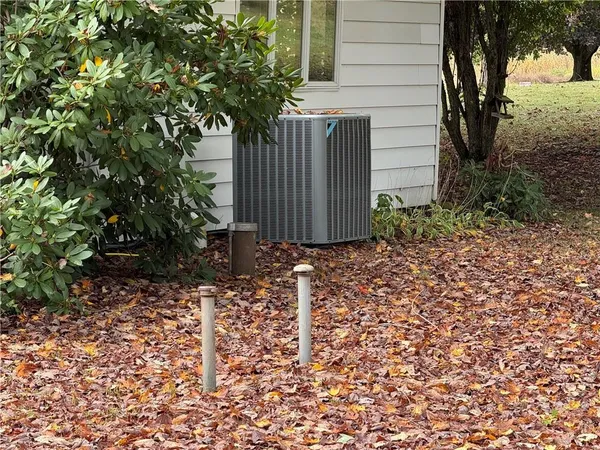 a view of backyard with potted plants and large trees