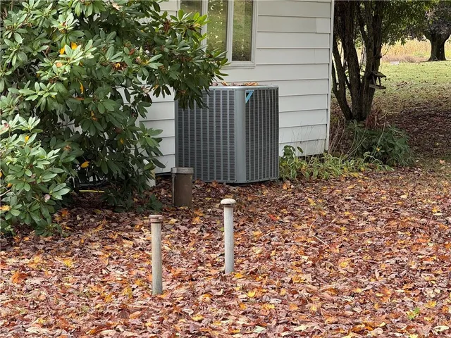 a view of backyard with potted plants and large trees