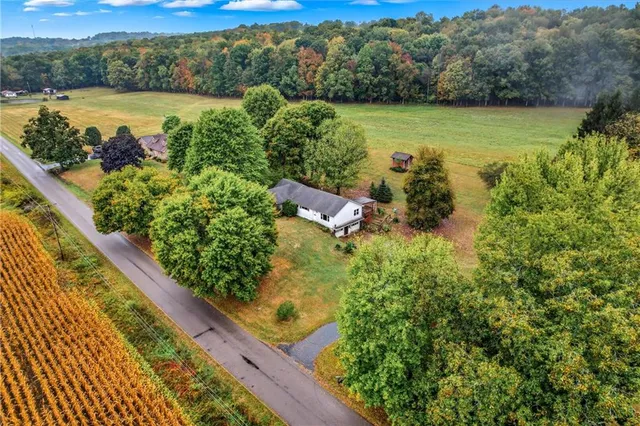 a view of a lake with a mountain