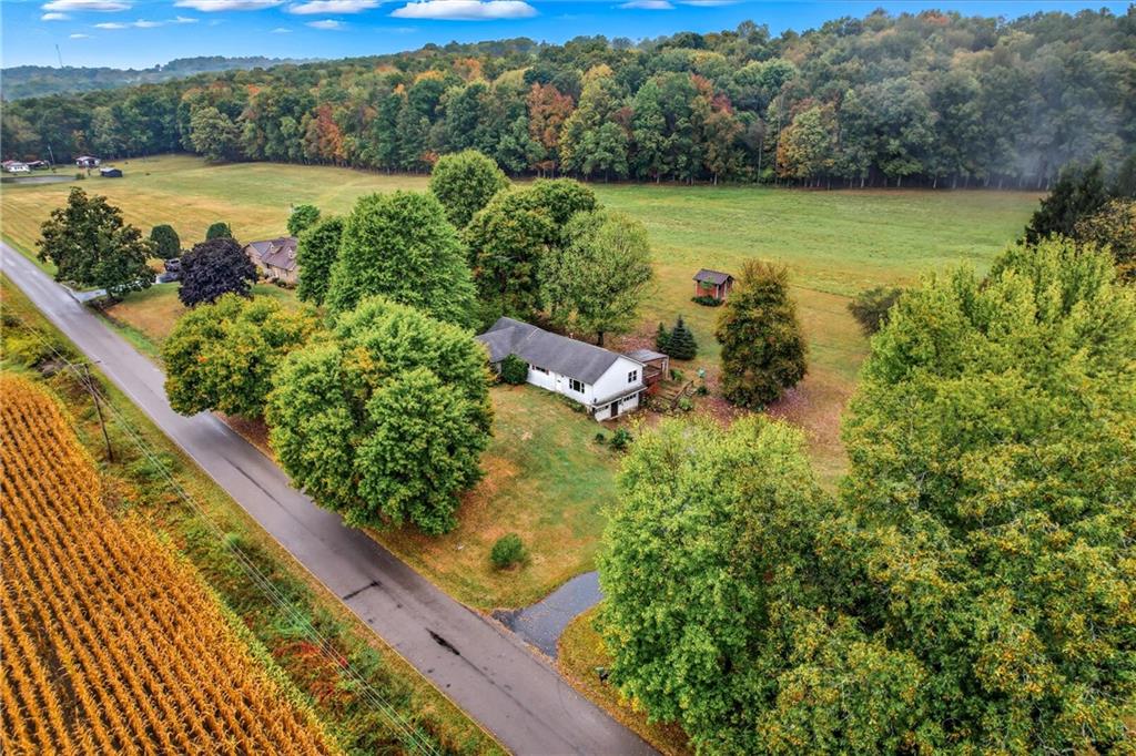 252 Beatty School Road Hadley, PA 16130 - Photo 10 of 46 Gallery Image 10