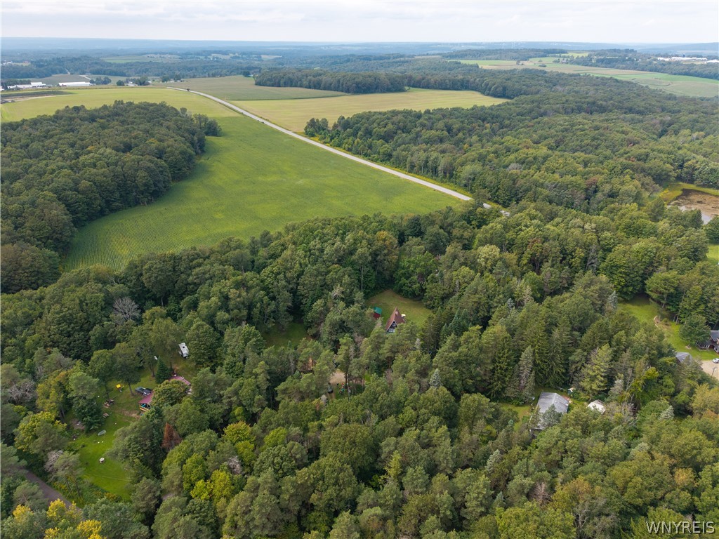 2834 Pee Dee Road, Unit 4 Wethersfield, NY 14024 - Photo 10 of 41 Drone View