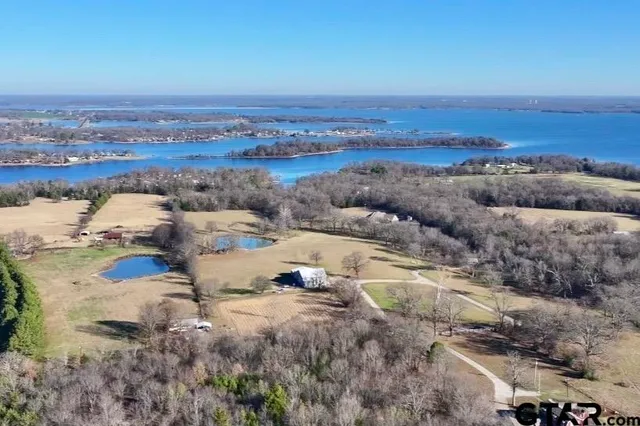 a view of a forest with trees in the background