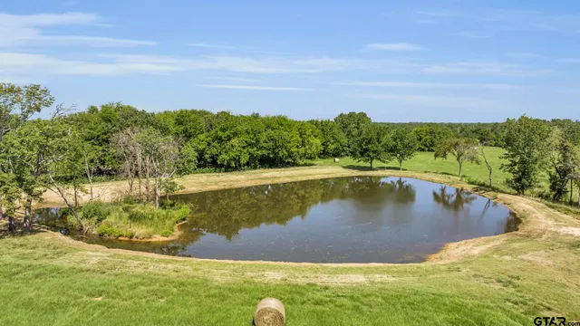 a view of a swimming pool with a yard