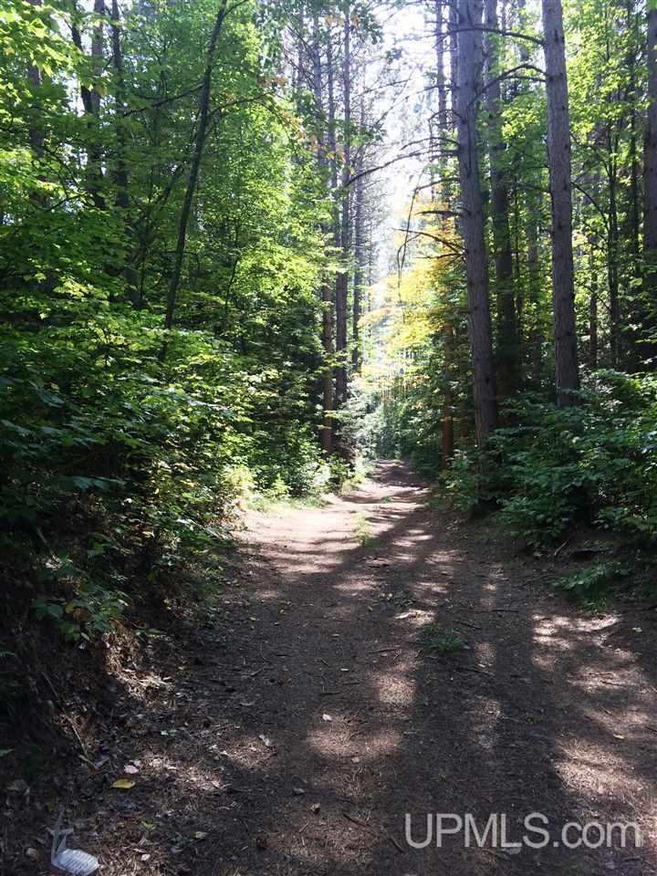 Off East Hawk Lake Road, Unit 3 Marenisco, MI 49947 - Photo 13 of 18