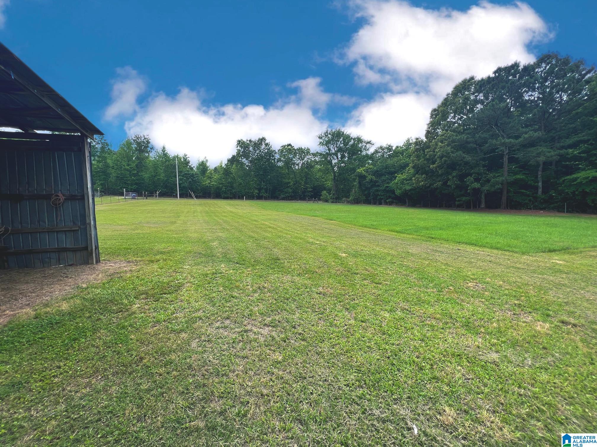 479 Benefield Gap Road Piedmont, AL 36272 - Photo 21 of 25