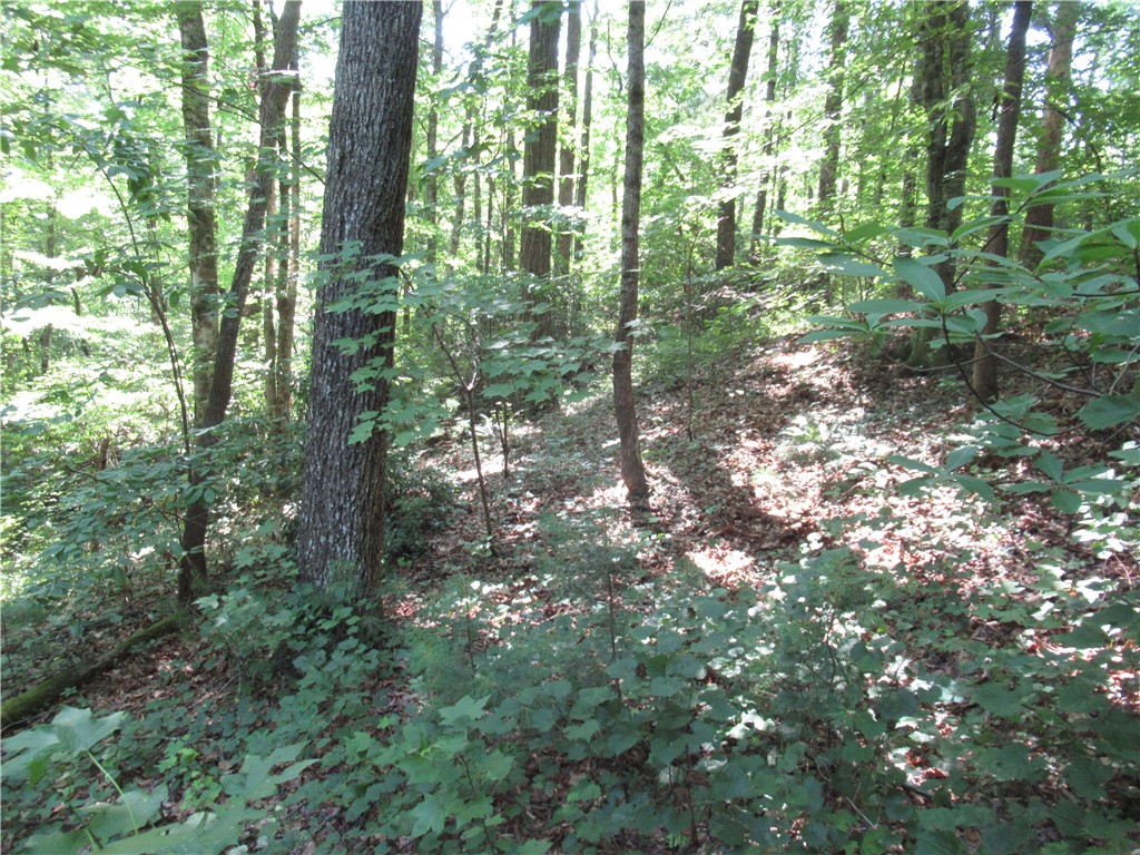 0 Gauley Falls Road Pickens, SC 29671 - Photo 12 of 35