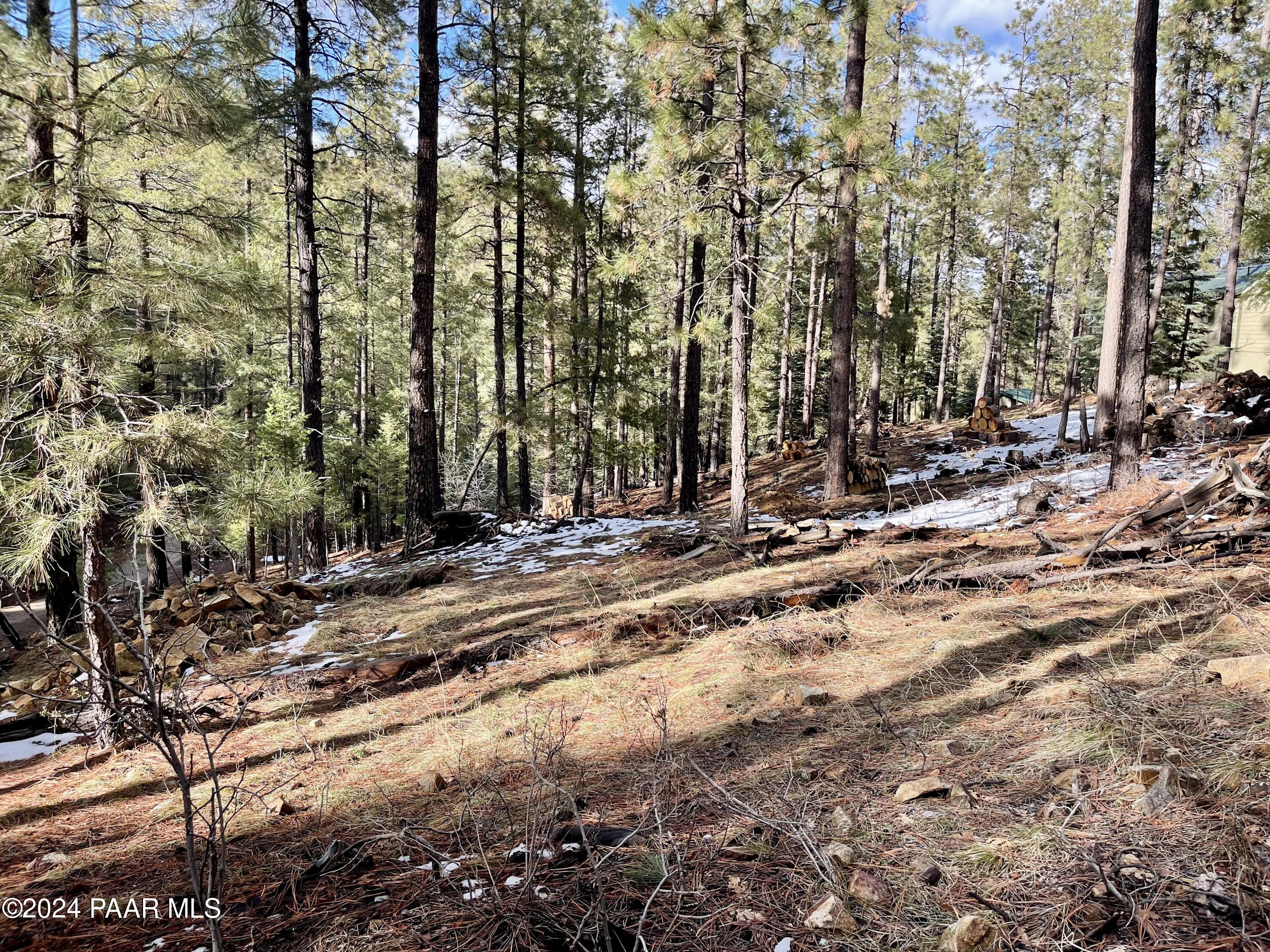 3485 East Sheldon Road Prescott, AZ 86303 - Photo 6 of 12 Property 4