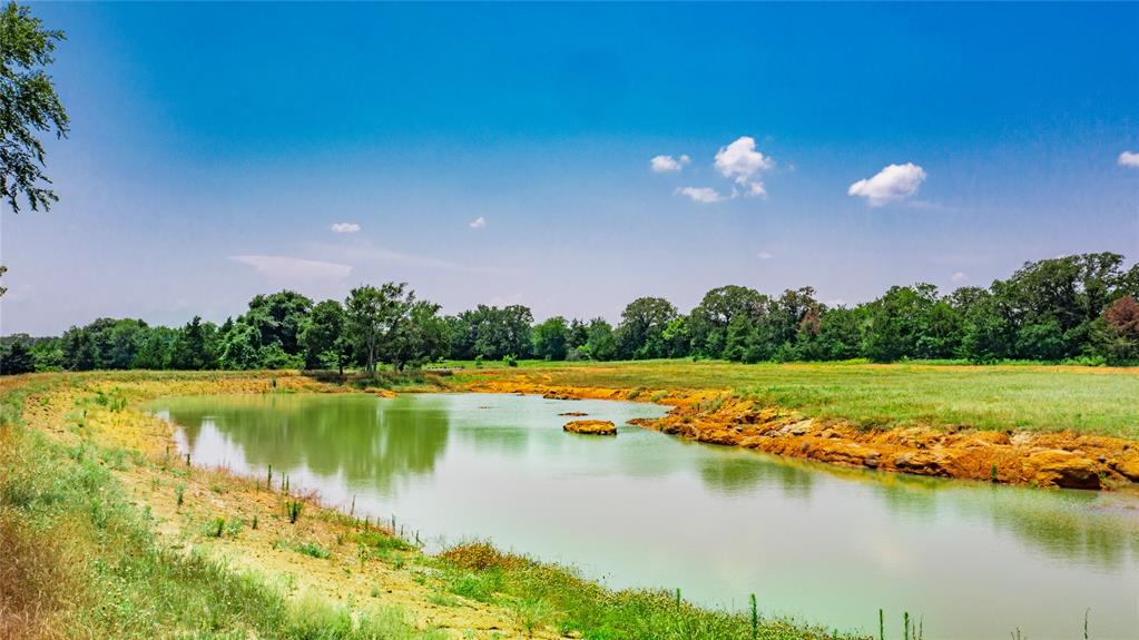 1789 Brumelow Road Whitesboro, TX 76273 - Photo 5 of 30 Natural water feature with surrounding green grass and mature trees