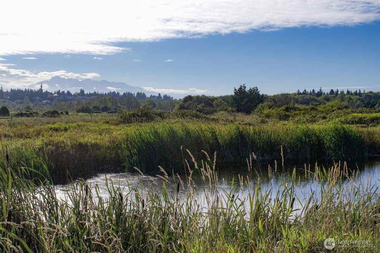 103 East Seashore Lane Sequim, WA 98382 - Photo 39 of 40