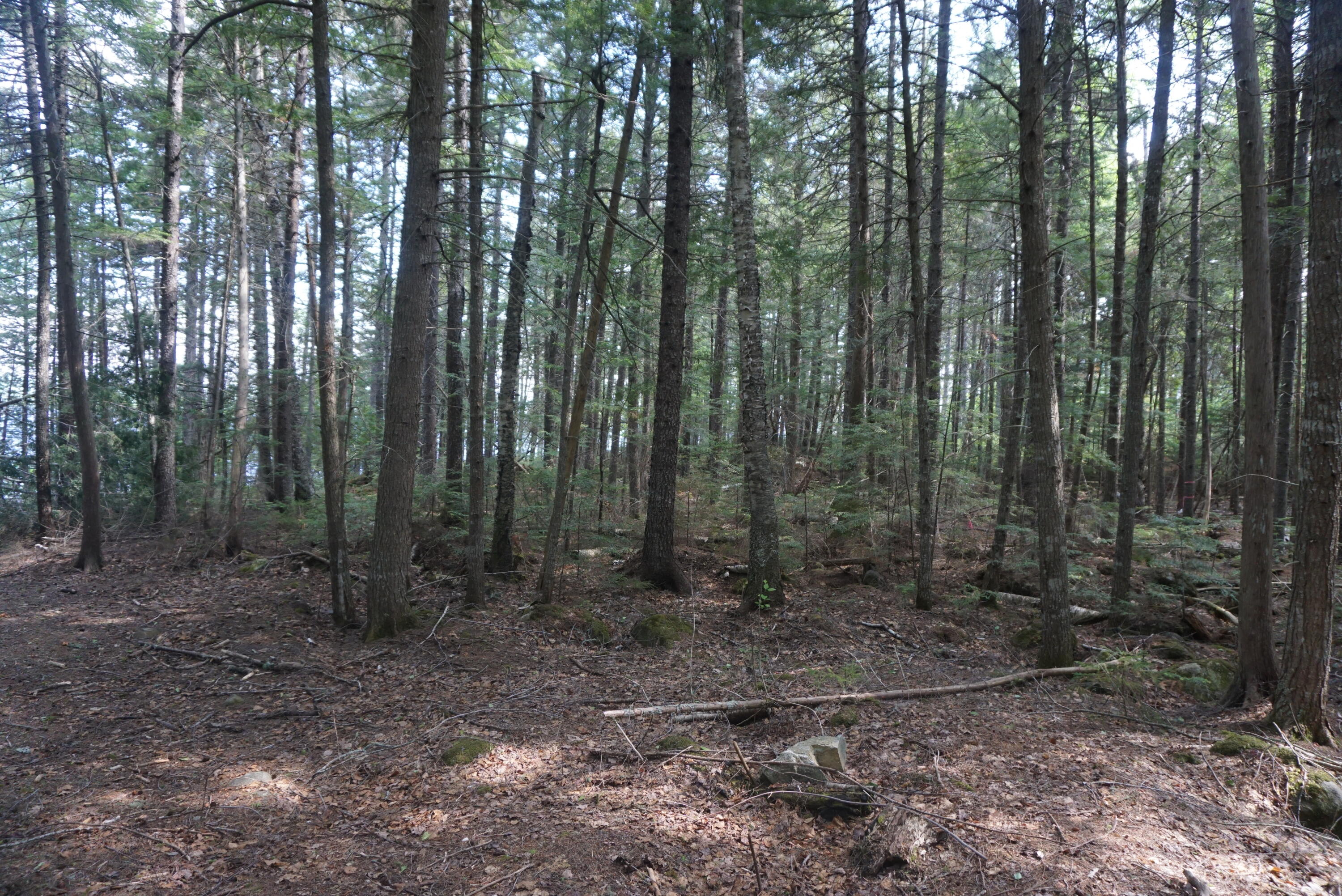 1.3 Evergreen Point Road Beaver Cove, ME 04441 - Photo 19 of 29 668B5A46-09E0-40A0-A6F1-45E756ABCC2F