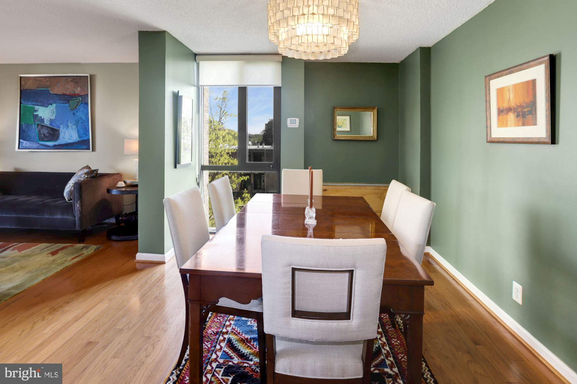 300 M Street Southwest, Unit N200 Washington, DC 20024 - Photo 9 of 45 South facing window in Dining Area