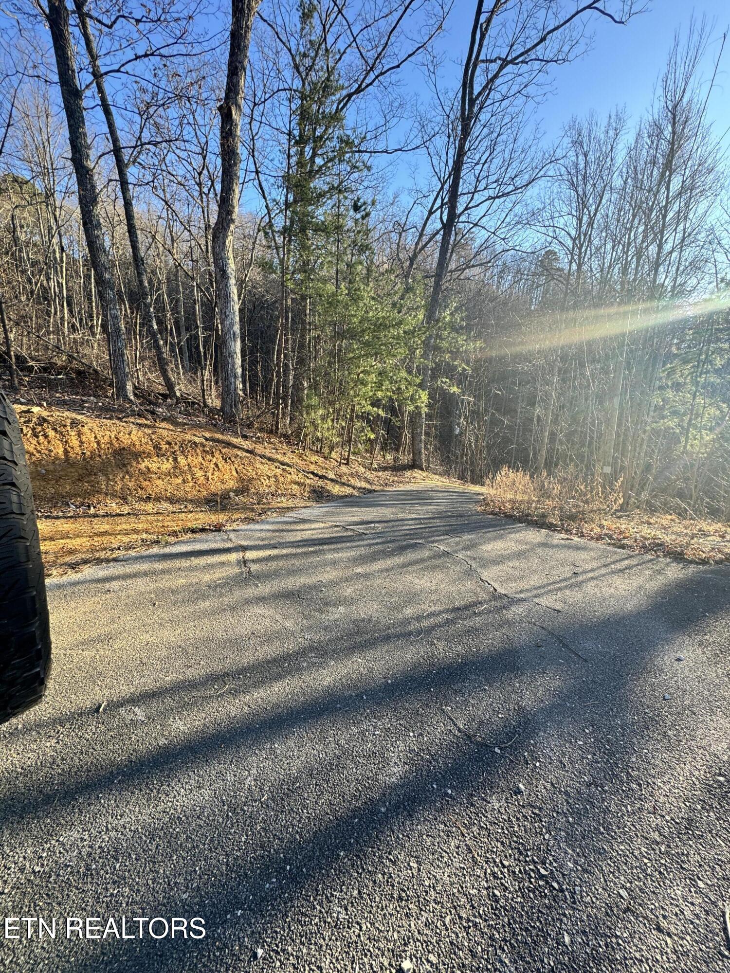 3361 Sugar Maple Loop Road Sevierville, TN 37862 - Photo 11 of 16 IMG_7733