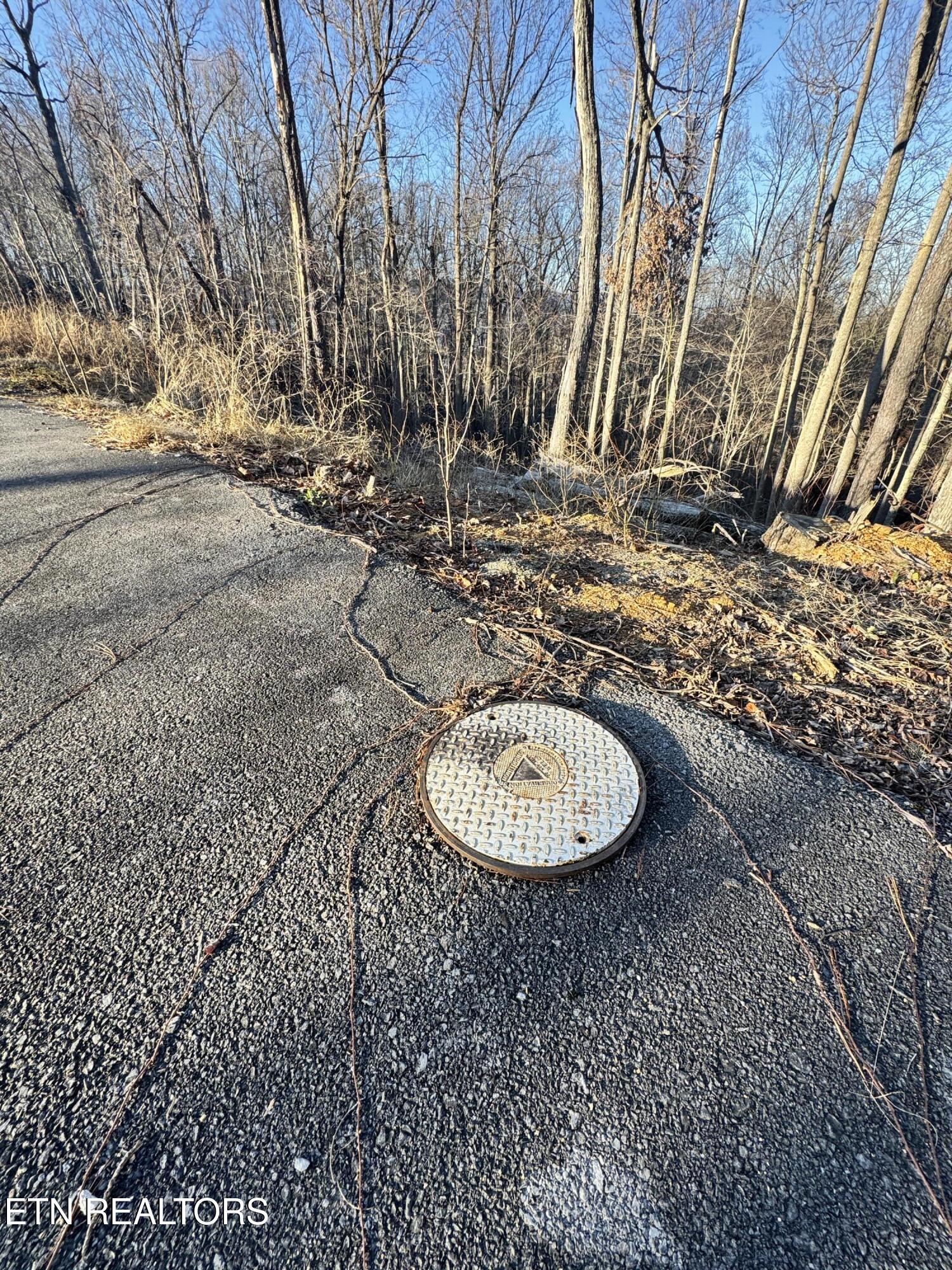 3361 Sugar Maple Loop Road Sevierville, TN 37862 - Photo 12 of 16 IMG_7731