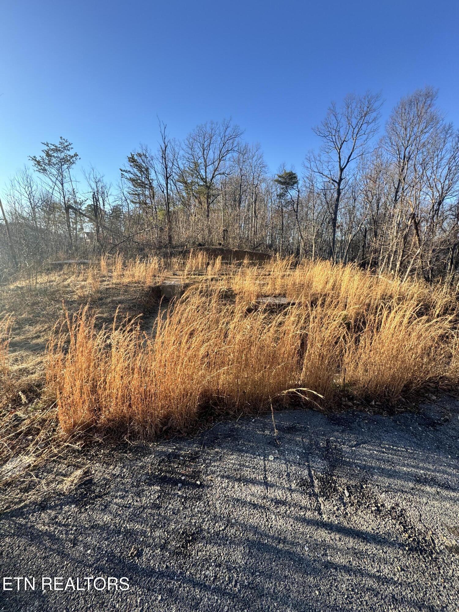 3361 Sugar Maple Loop Road Sevierville, TN 37862 - Photo 2 of 16 IMG_7725