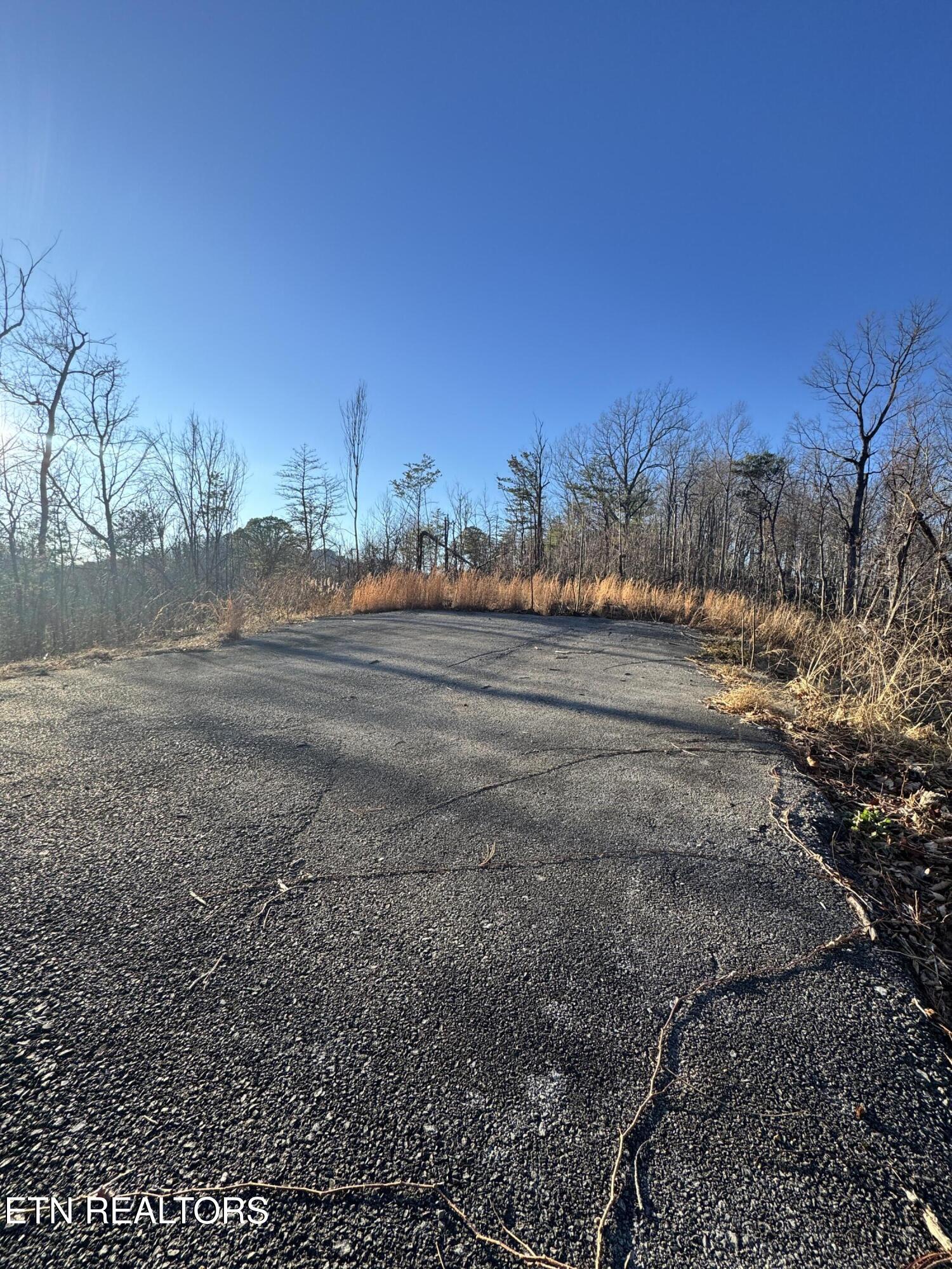 3361 Sugar Maple Loop Road Sevierville, TN 37862 - Photo 6 of 16 IMG_7732