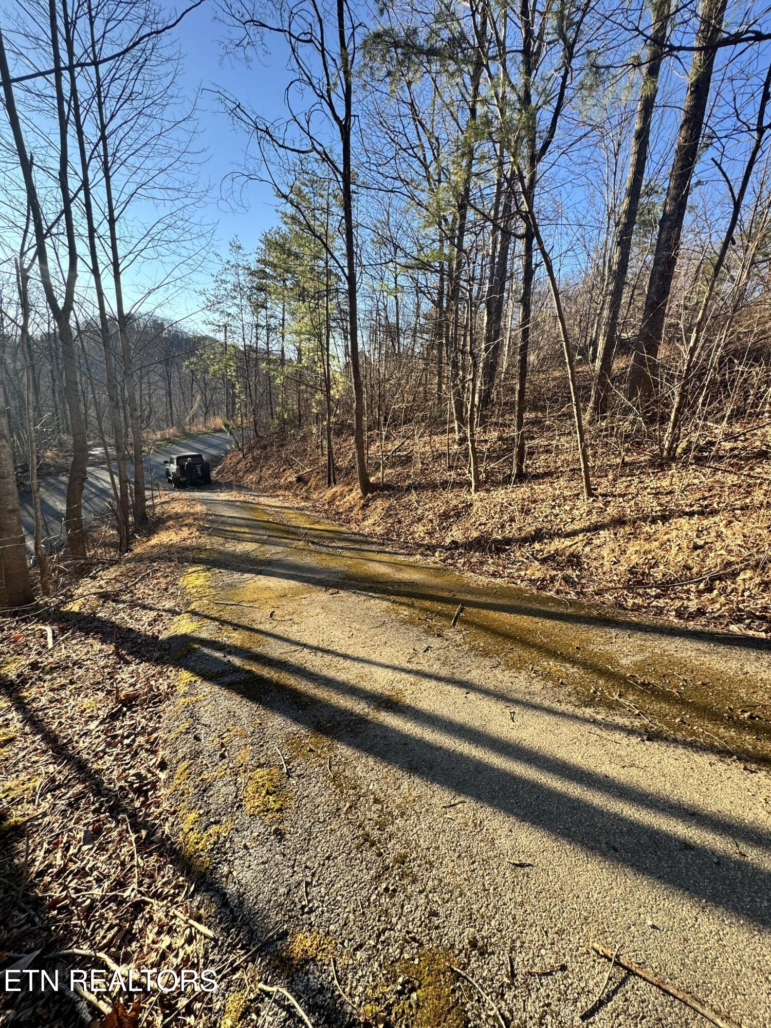 3361 Sugar Maple Loop Road Sevierville, TN 37862 - Photo 8 of 16 IMG_7738