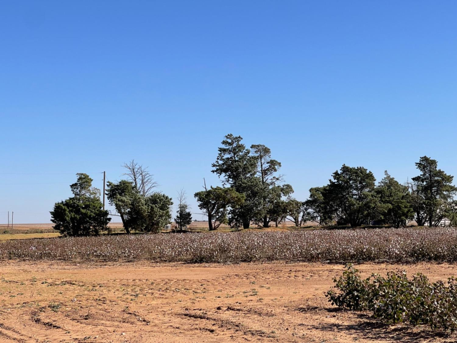 211 Fm Wilson, TX 79381 - Photo 5 of 10 Photo 7