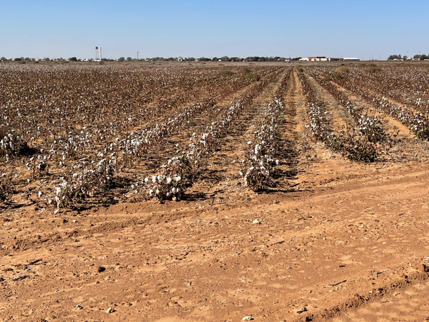 211 Fm Wilson, TX 79381 - Photo 6 of 10 Photo 8