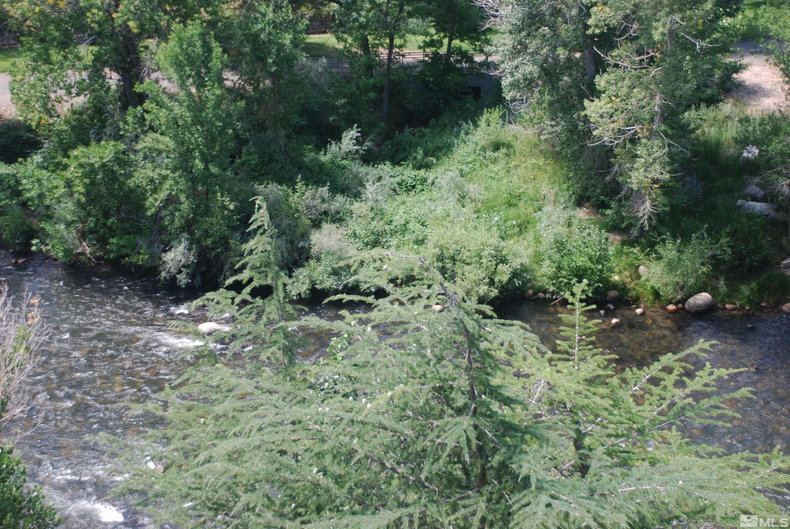 1200 Riverside Drive, Unit 1221 Reno, NV 89503 - Photo 3 of 35 a view of a forest with a tree